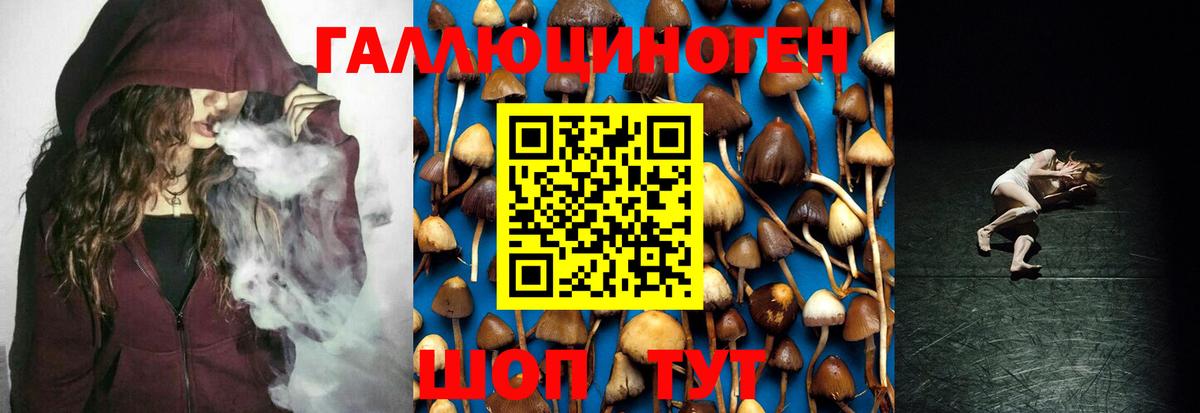 Галлюциногенные грибы мицелий Дивногорск